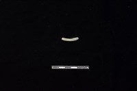 陶環藏品圖，第2張